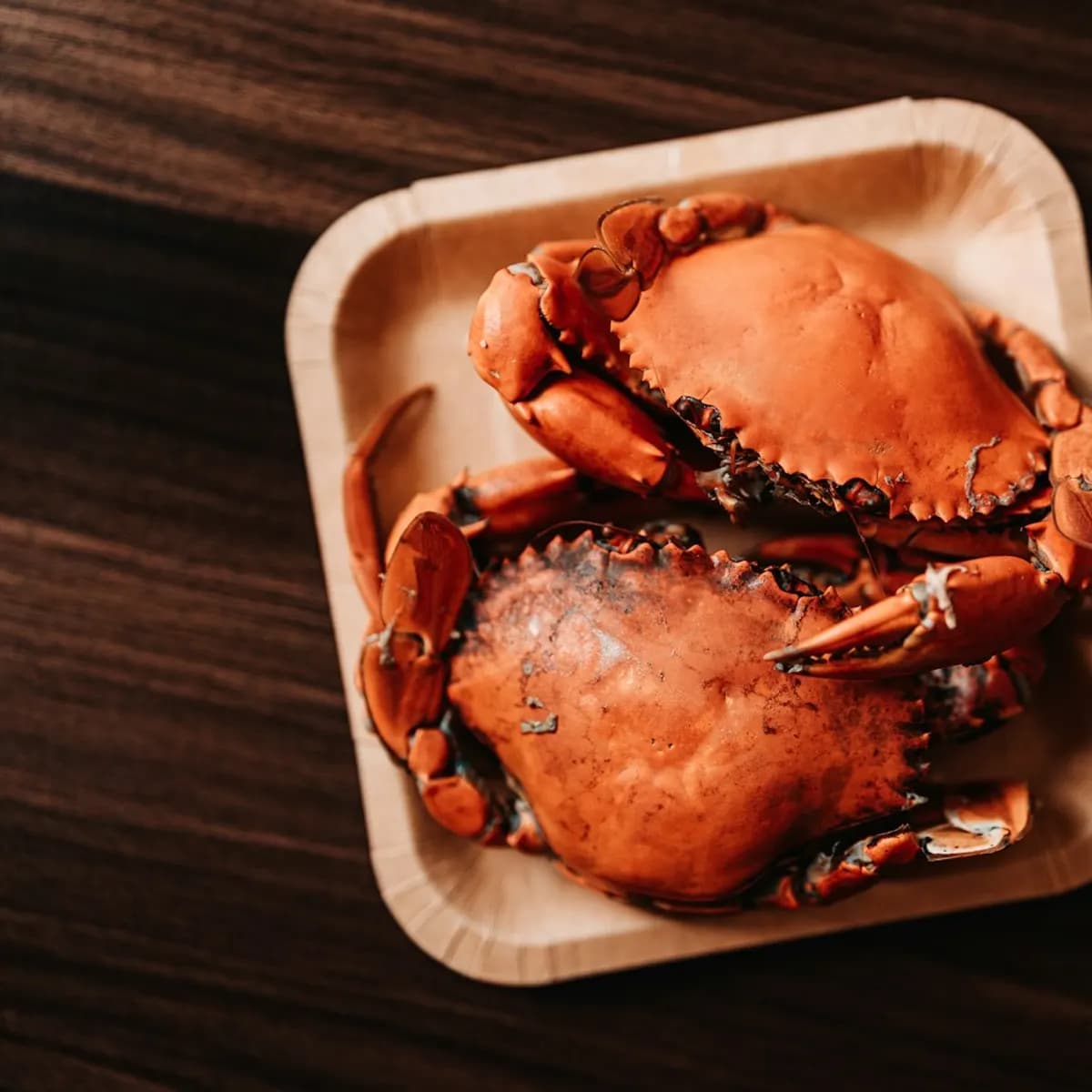 Crab